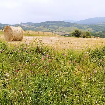 Apartment Casa Contadina In Borgo Medievale, Tuscany Monteguidi