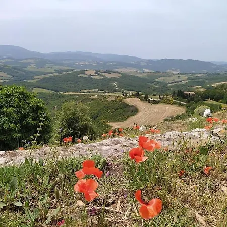 Casa Contadina In Borgo Medievale, Tuscany Apartment Monteguidi